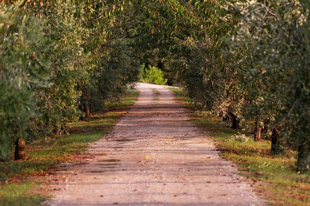 Agriturismo Casagrande Montepulciano Stazione Exterior foto